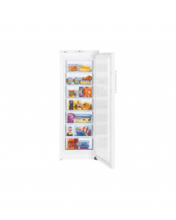 CONGELATEUR ARMOIRE LIEBHERR